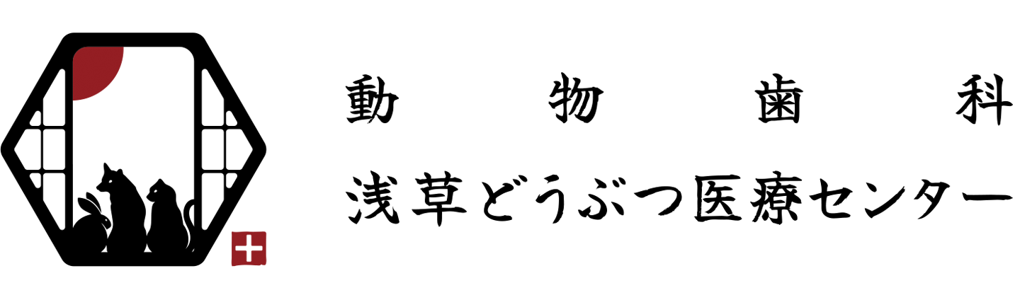 浅草どうぶつ医療センターどうぶつ歯科